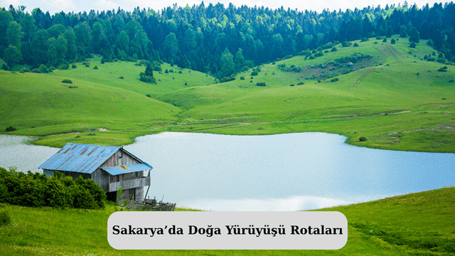 Sakarya’da Doğa Yürüyüşü Rotaları