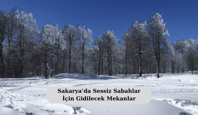 Sakarya’da Sessiz Sabahlar İçin Gidilecek Mekanlar